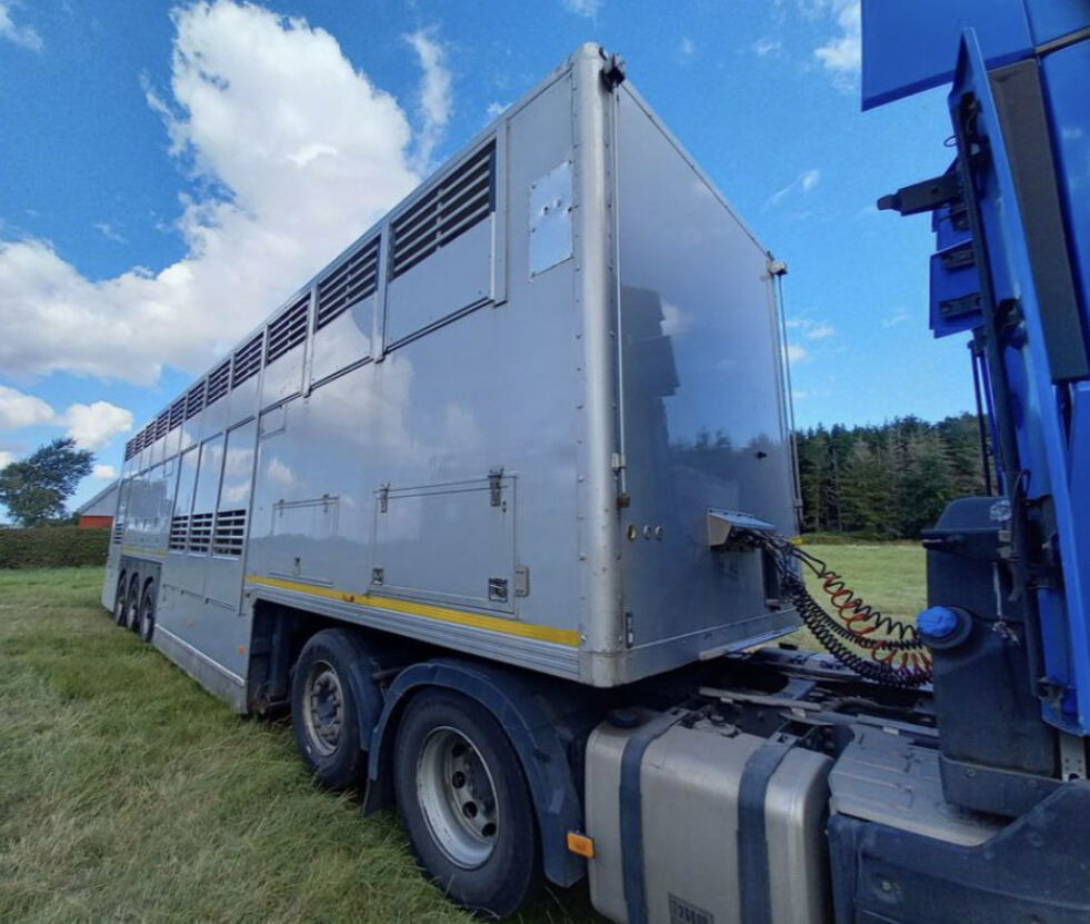 Gray and Adams Gadd3 / Works Great / Hydraulic / 2 Levels - Semi-trailer pengangkut hewan: gambar 4 Gray and Adams Gadd3 / Works Great / Hydraulic / 2 Levels - Semi-trailer pengangkut hewan: gambar 4