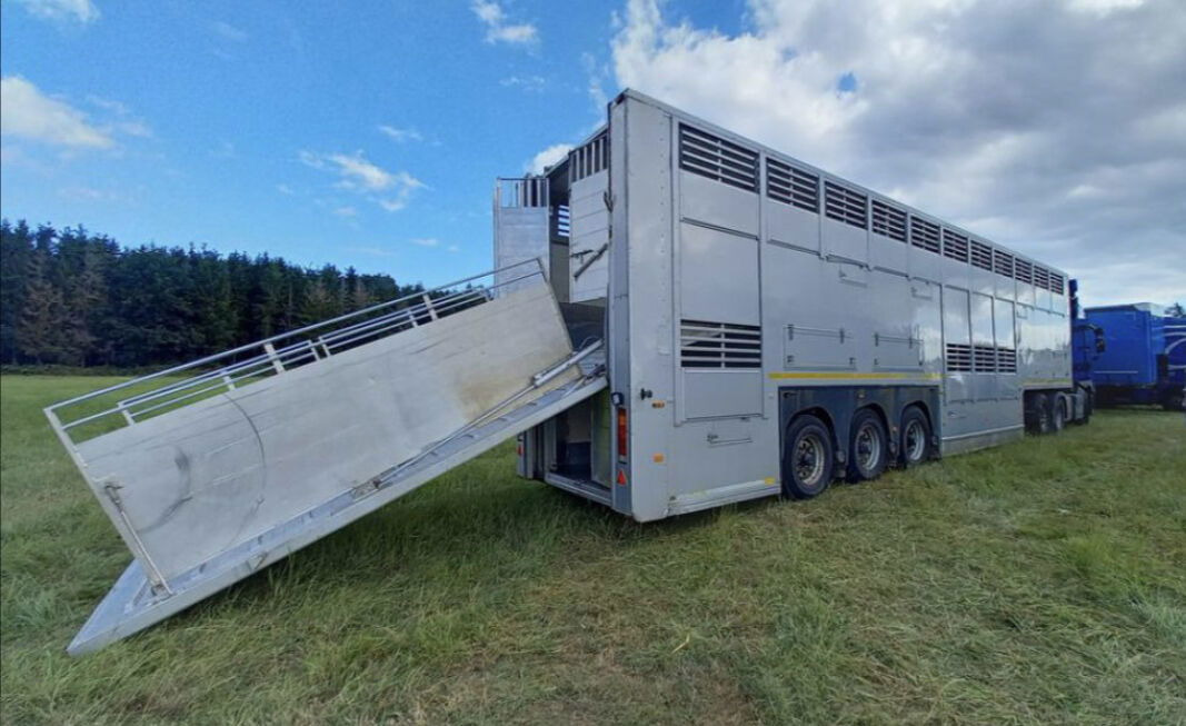 Gray and Adams Gadd3 / Works Great / Hydraulic / 2 Levels - Semi-trailer pengangkut hewan: gambar 3 Gray and Adams Gadd3 / Works Great / Hydraulic / 2 Levels - Semi-trailer pengangkut hewan: gambar 3