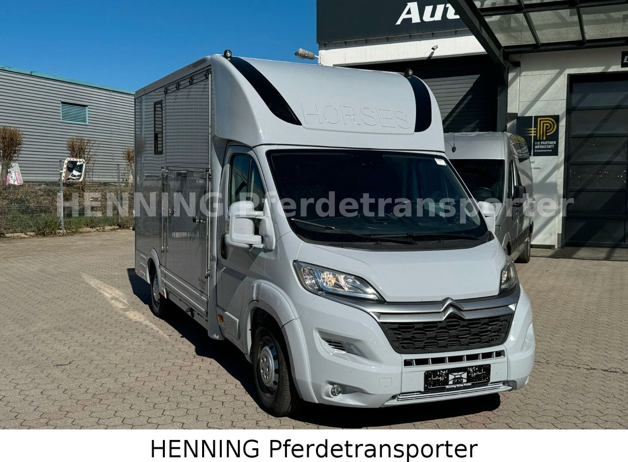 Citroën Jumper 3 - Sitzer - Truk pengangkut kuda: gambar 2 Citroën Jumper 3 - Sitzer - Truk pengangkut kuda: gambar 2