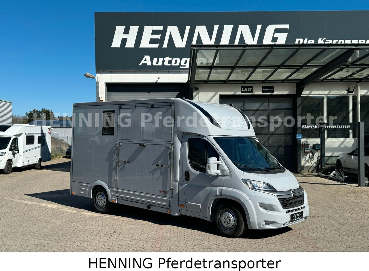 Citroën Jumper 3 - Sitzer - Truk pengangkut kuda: gambar 1 Citroën Jumper 3 - Sitzer - Truk pengangkut kuda: gambar 1