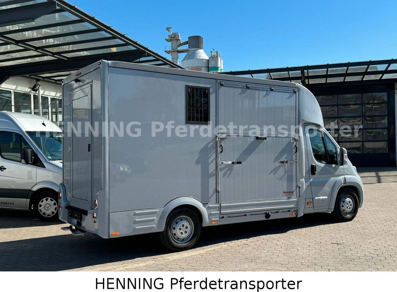 Citroën Jumper 3 - Sitzer - Truk pengangkut kuda: gambar 3 Citroën Jumper 3 - Sitzer - Truk pengangkut kuda: gambar 3