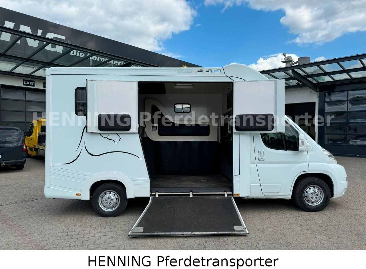 Fiat Ducato 3-Sitzer - Truk pengangkut kuda, Van pengiriman: gambar 4 Fiat Ducato 3-Sitzer - Truk pengangkut kuda, Van pengiriman: gambar 4