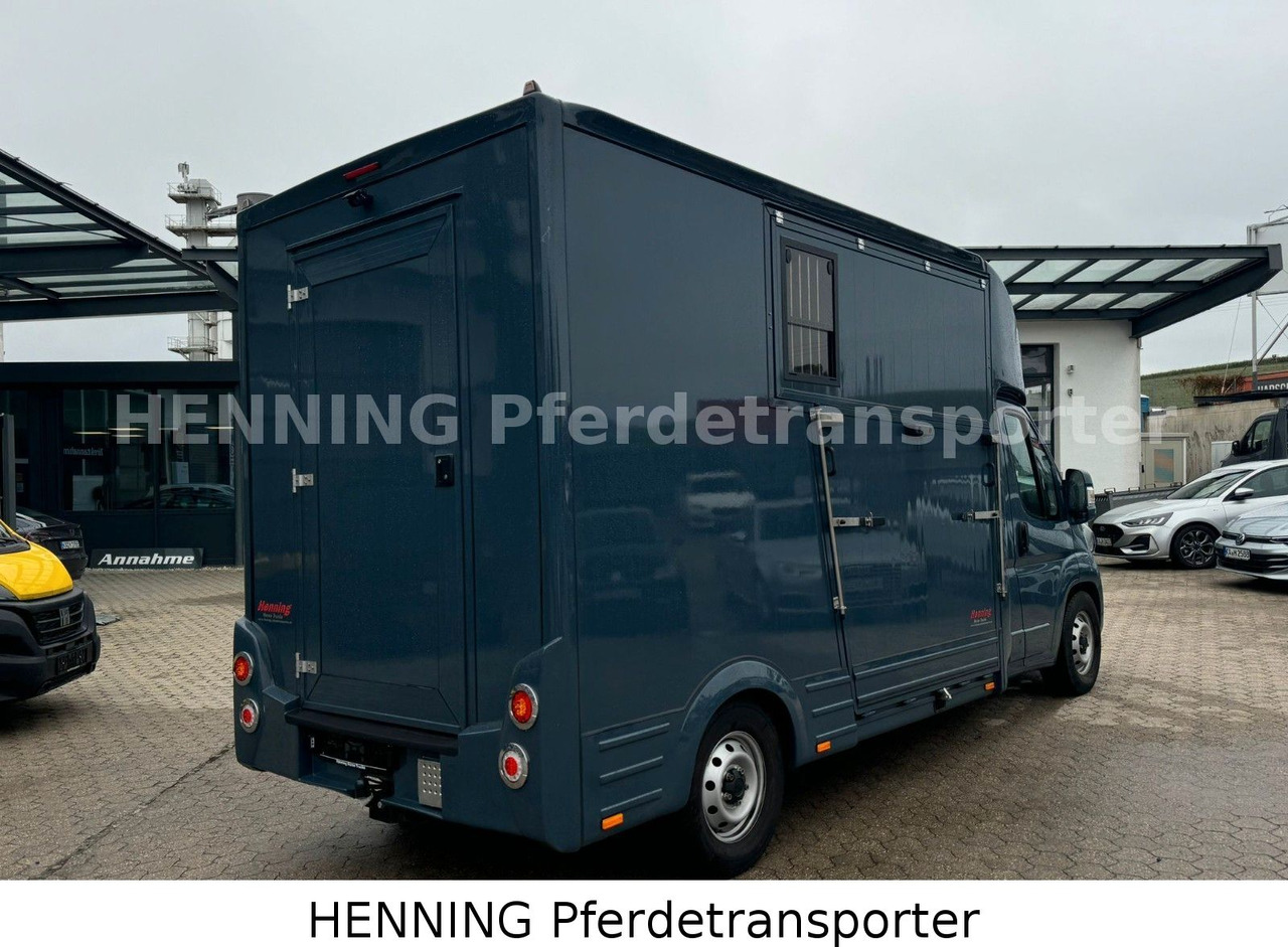 Fiat Ducato *AUTOMATIK* 3 - Sitzer - Truk pengangkut hewan: gambar 3 Fiat Ducato *AUTOMATIK* 3 - Sitzer - Truk pengangkut hewan: gambar 3