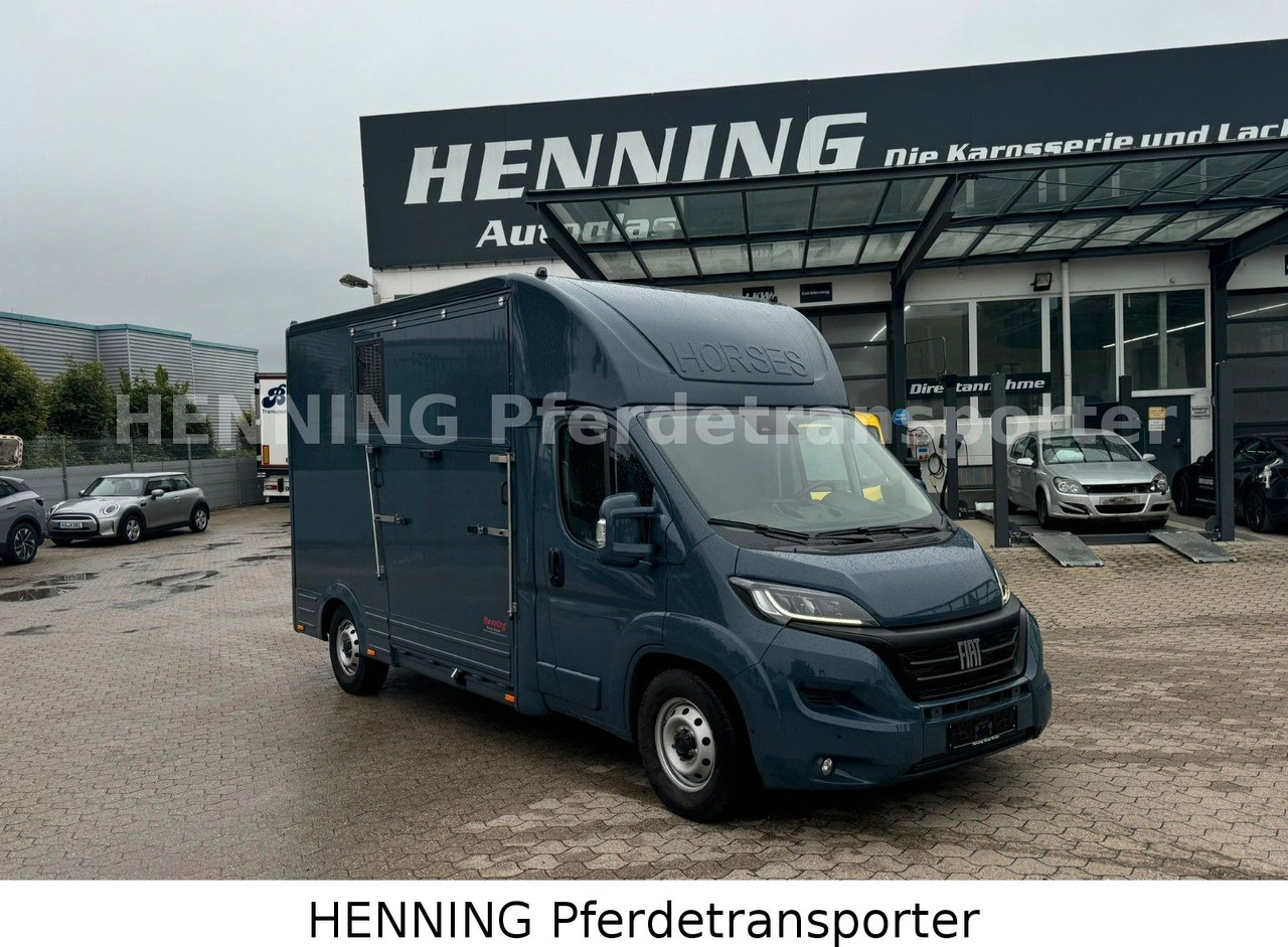 Fiat Ducato *AUTOMATIK* 3 - Sitzer - Truk pengangkut hewan: gambar 1 Fiat Ducato *AUTOMATIK* 3 - Sitzer - Truk pengangkut hewan: gambar 1