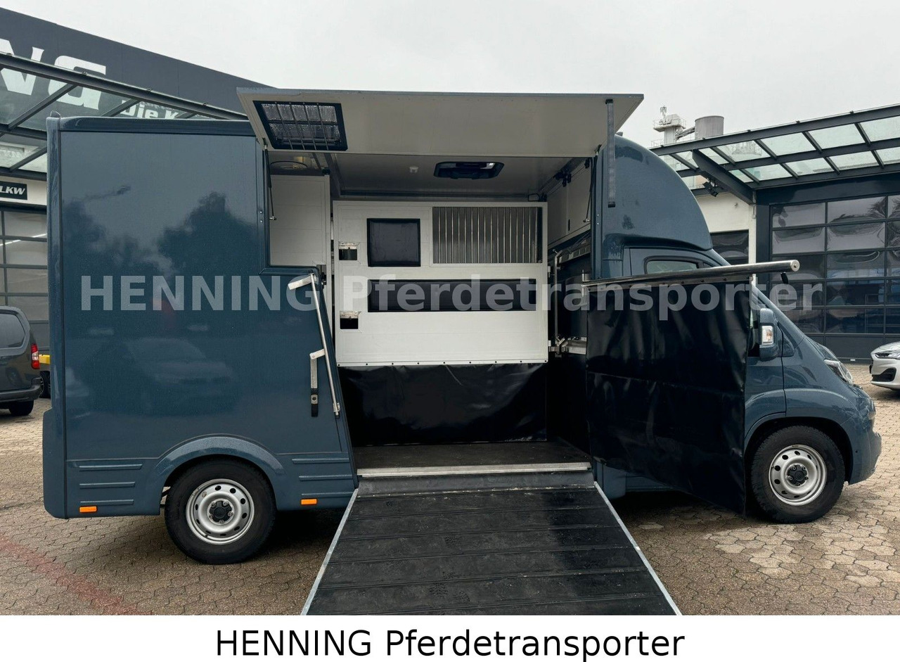 Fiat Ducato *AUTOMATIK* 3 - Sitzer - Truk pengangkut hewan: gambar 4 Fiat Ducato *AUTOMATIK* 3 - Sitzer - Truk pengangkut hewan: gambar 4