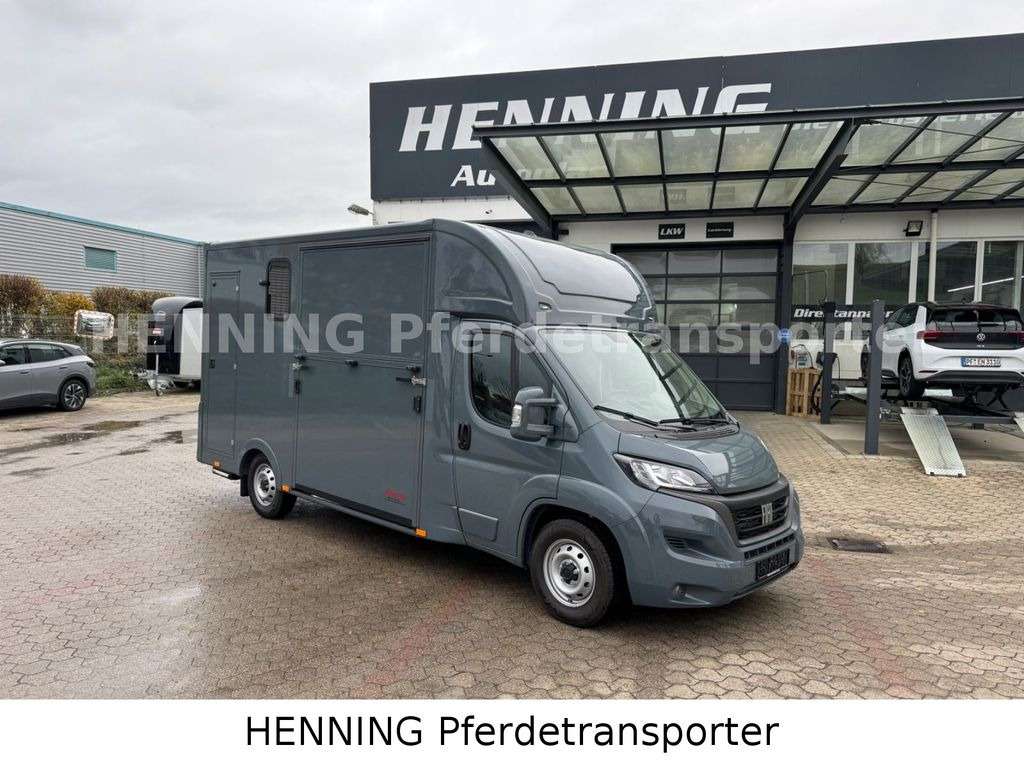 Fiat Ducato *NEUWAGEN* ca.1100 kg Nutzlast - Truk pengangkut kuda: gambar 1 Fiat Ducato *NEUWAGEN* ca.1100 kg Nutzlast - Truk pengangkut kuda: gambar 1