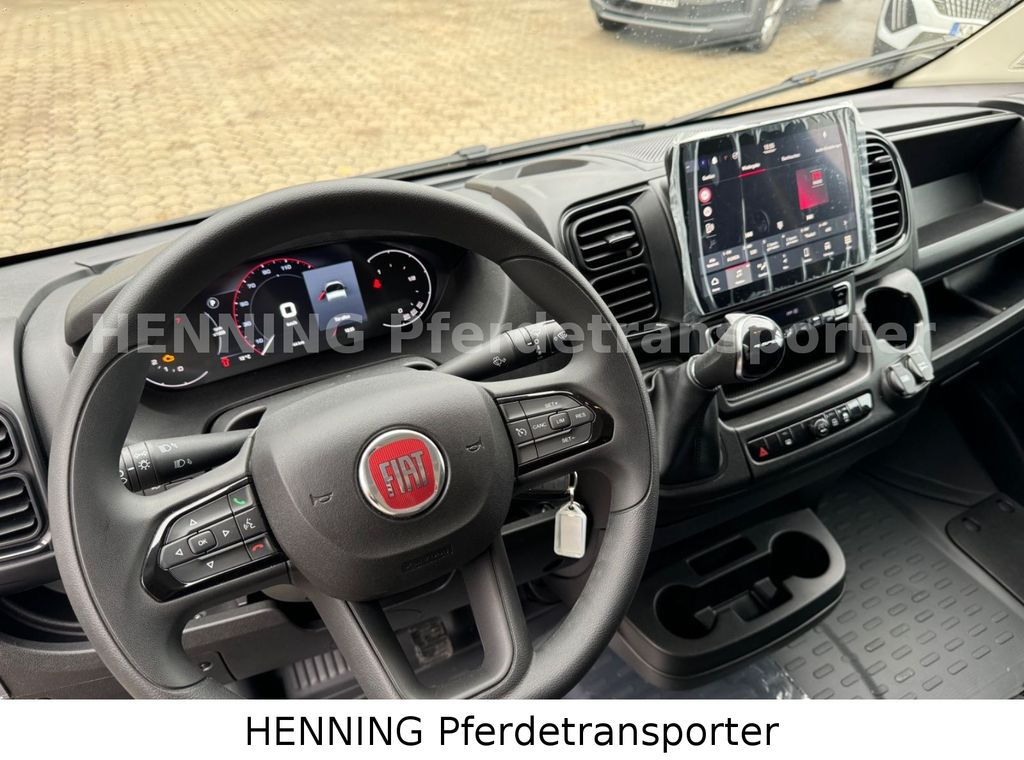 Truk pengangkut kuda Fiat Ducato *NEUWAGEN* ca.1100 kg Nutzlast: gambar 15