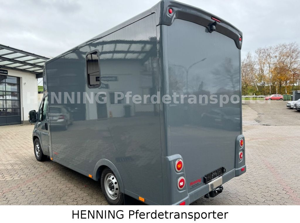 Truk pengangkut kuda Fiat Ducato *NEUWAGEN* ca.1100 kg Nutzlast: gambar 12