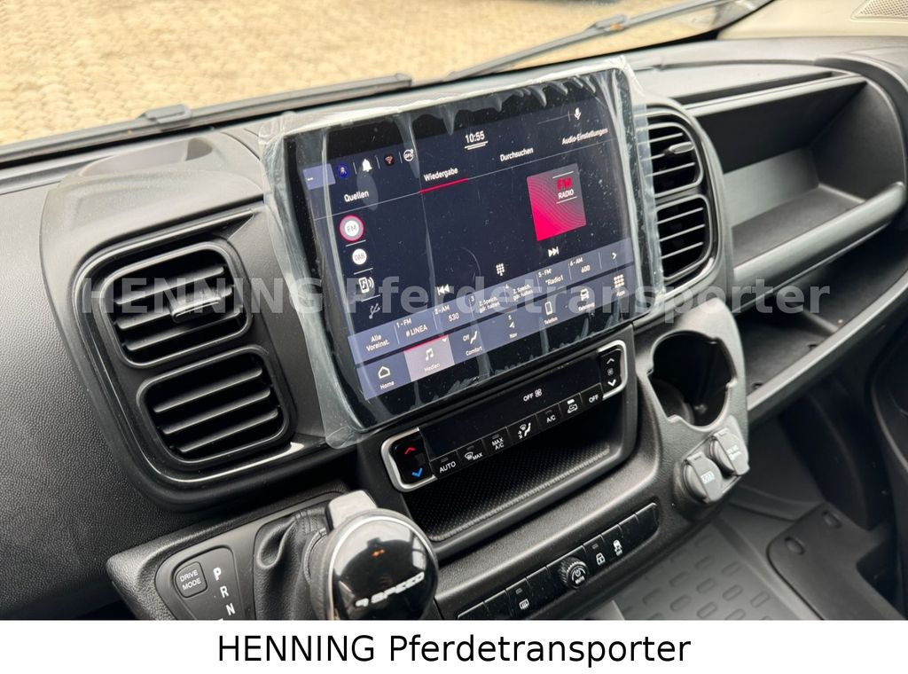 Truk pengangkut kuda Fiat Ducato *NEUWAGEN* ca.1100 kg Nutzlast: gambar 16