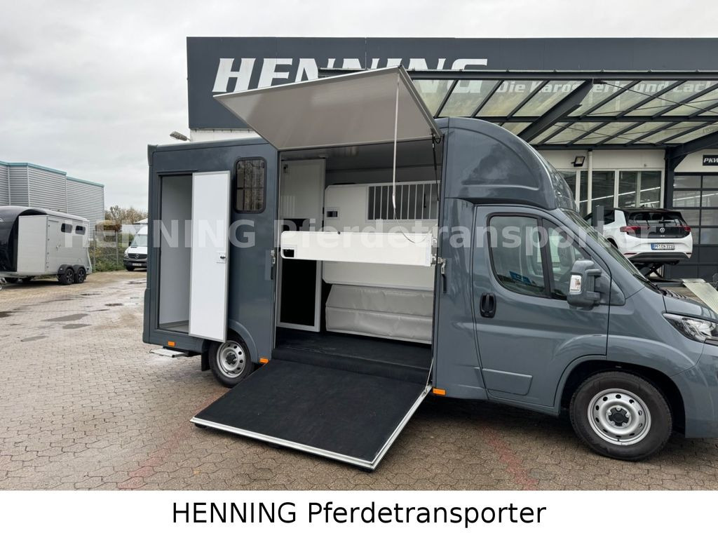 Fiat Ducato *NEUWAGEN* ca.1100 kg Nutzlast - Truk pengangkut kuda: gambar 4 Fiat Ducato *NEUWAGEN* ca.1100 kg Nutzlast - Truk pengangkut kuda: gambar 4