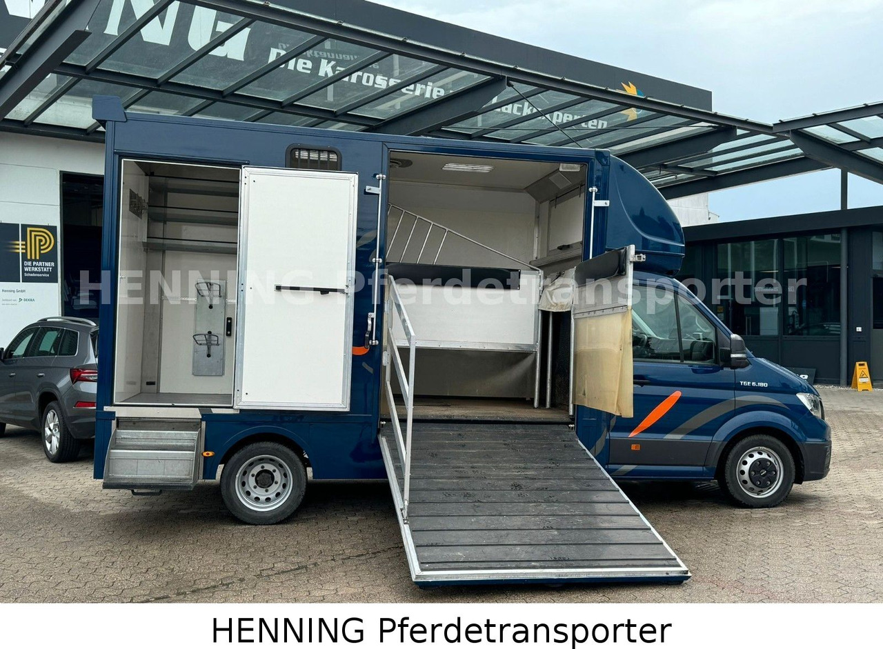 MAN TGE 5.500kg Gesamtgewicht - Truk pengangkut hewan: gambar 5 MAN TGE 5.500kg Gesamtgewicht - Truk pengangkut hewan: gambar 5