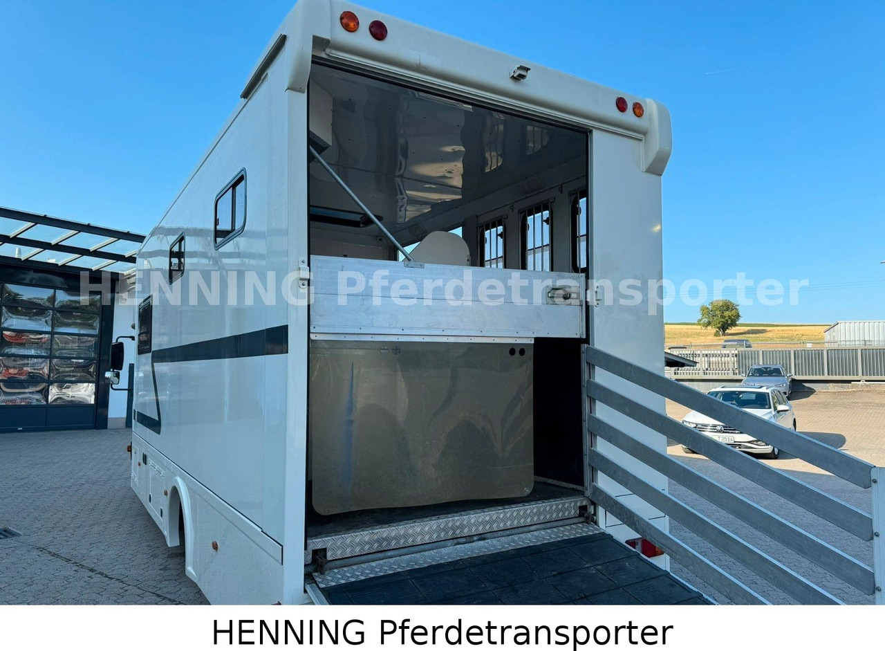 MAN TGL 8.180 4x2 - Truk pengangkut hewan: gambar 5 MAN TGL 8.180 4x2 - Truk pengangkut hewan: gambar 5