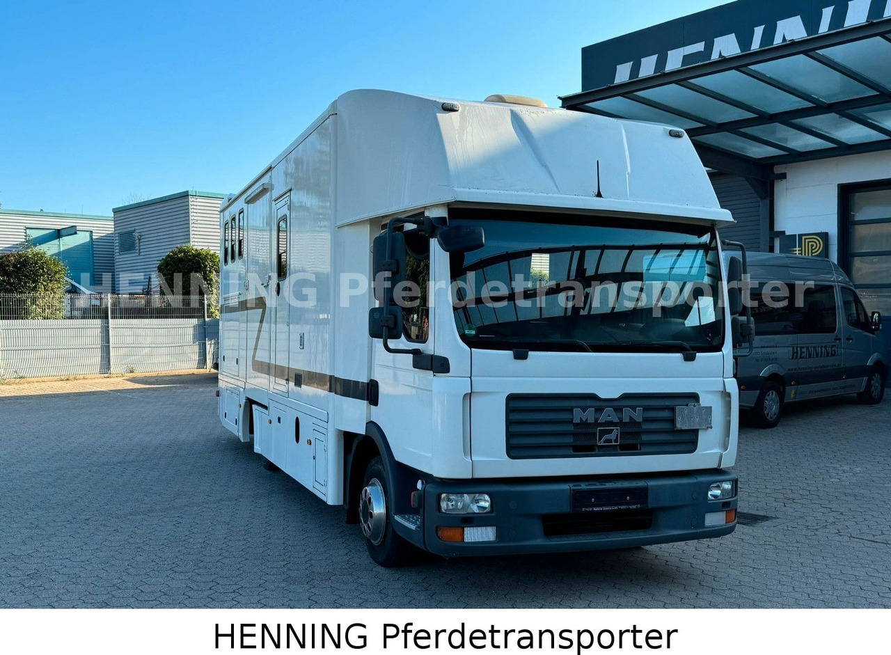 MAN TGL 8.180 4x2 - Truk pengangkut hewan: gambar 3 MAN TGL 8.180 4x2 - Truk pengangkut hewan: gambar 3