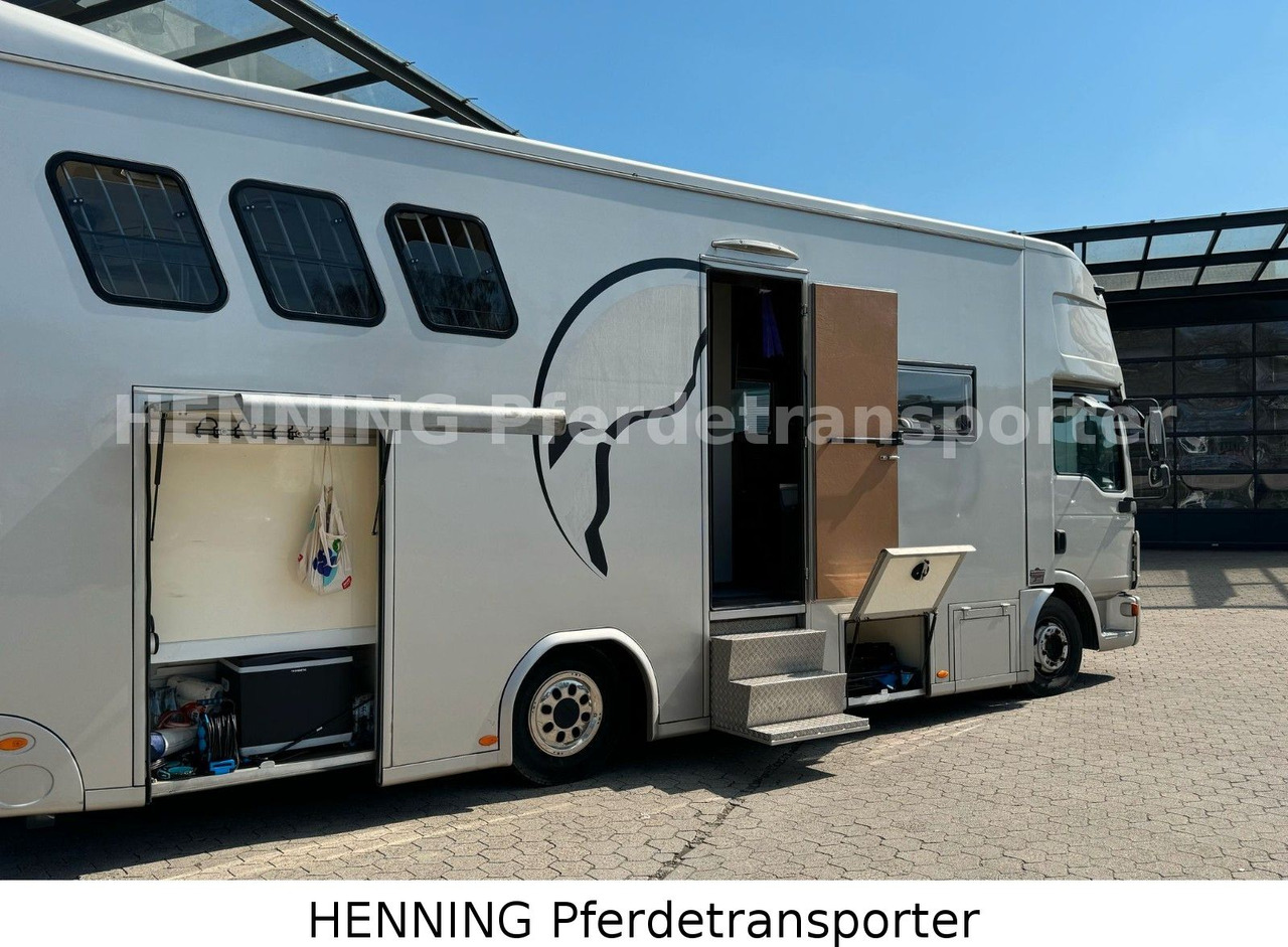 Truk pengangkut hewan MAN TGL PFERDETRANSPORTER RJH: gambar 9 Truk pengangkut hewan MAN TGL PFERDETRANSPORTER RJH: gambar 9