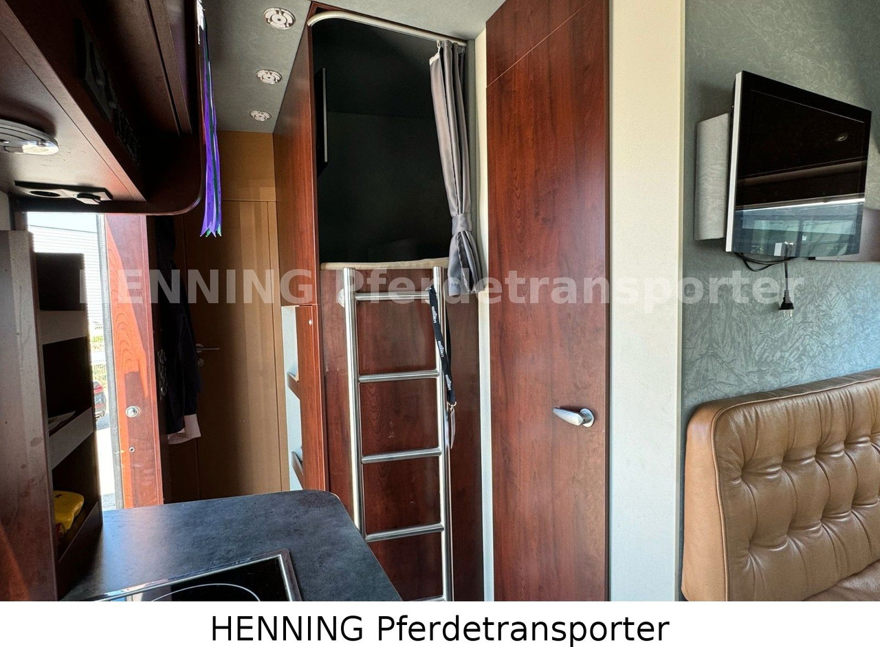Truk pengangkut hewan MAN TGL PFERDETRANSPORTER RJH: gambar 18 Truk pengangkut hewan MAN TGL PFERDETRANSPORTER RJH: gambar 18