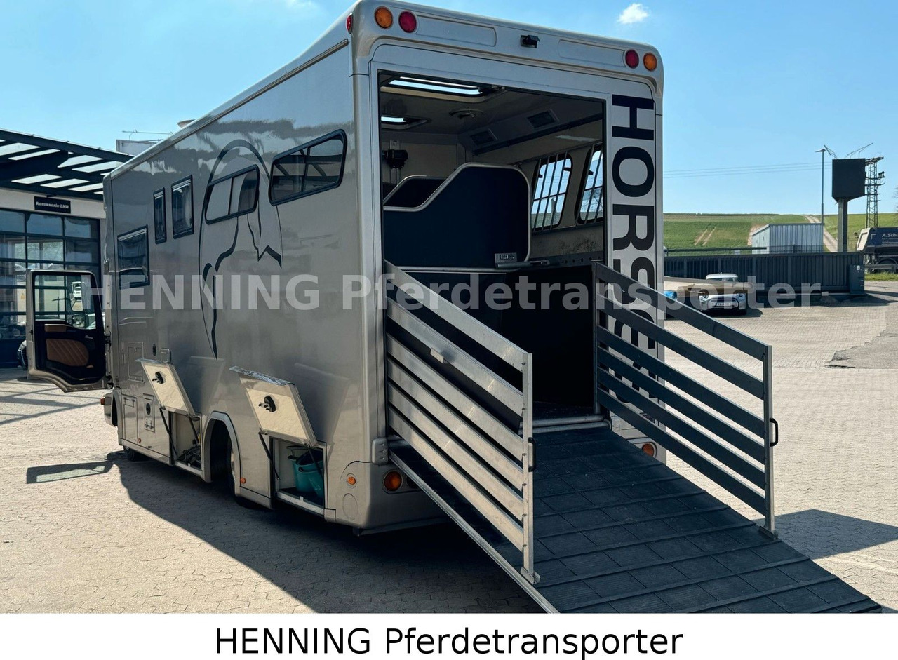 MAN TGL PFERDETRANSPORTER RJH - Truk pengangkut hewan: gambar 5 MAN TGL PFERDETRANSPORTER RJH - Truk pengangkut hewan: gambar 5