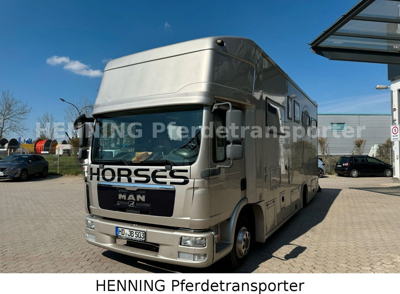 MAN TGL PFERDETRANSPORTER RJH - Truk pengangkut hewan: gambar 2 MAN TGL PFERDETRANSPORTER RJH - Truk pengangkut hewan: gambar 2