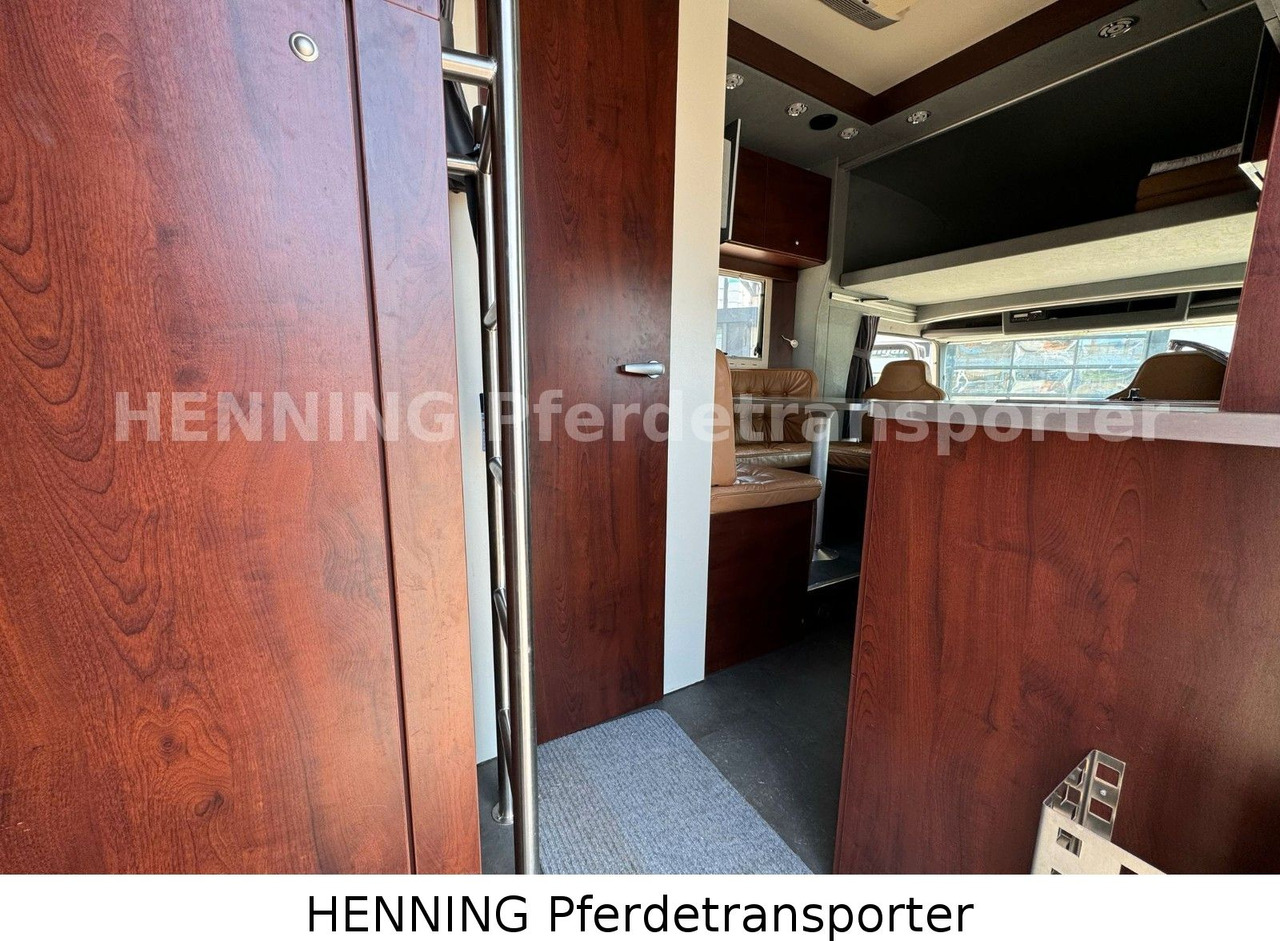 Truk pengangkut hewan MAN TGL PFERDETRANSPORTER RJH: gambar 10 Truk pengangkut hewan MAN TGL PFERDETRANSPORTER RJH: gambar 10