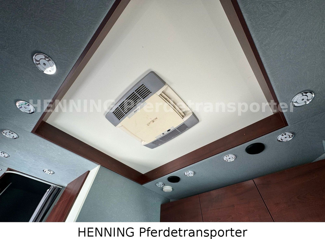 Truk pengangkut hewan MAN TGL PFERDETRANSPORTER RJH: gambar 16 Truk pengangkut hewan MAN TGL PFERDETRANSPORTER RJH: gambar 16