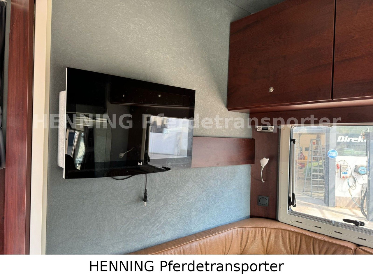 Truk pengangkut hewan MAN TGL PFERDETRANSPORTER RJH: gambar 14 Truk pengangkut hewan MAN TGL PFERDETRANSPORTER RJH: gambar 14