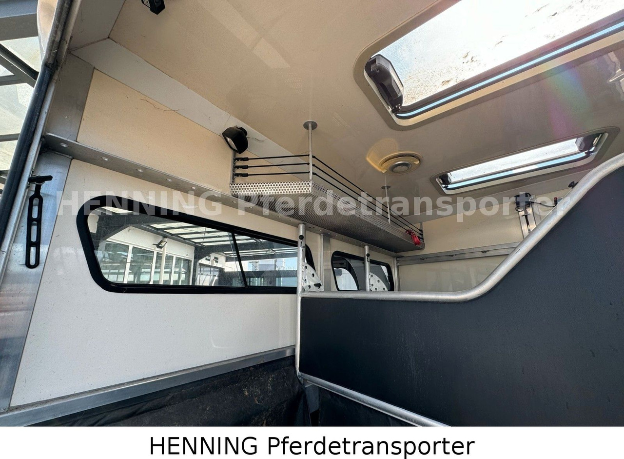 Truk pengangkut hewan MAN TGL PFERDETRANSPORTER RJH: gambar 7 Truk pengangkut hewan MAN TGL PFERDETRANSPORTER RJH: gambar 7