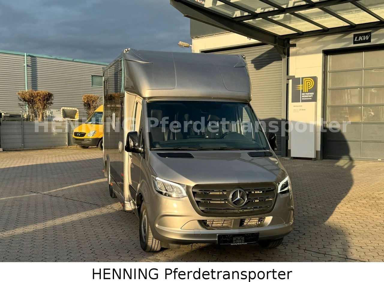 Mercedes-Benz Sprinter 3 - Sitzer - Truk pengangkut hewan: gambar 2 Mercedes-Benz Sprinter 3 - Sitzer - Truk pengangkut hewan: gambar 2