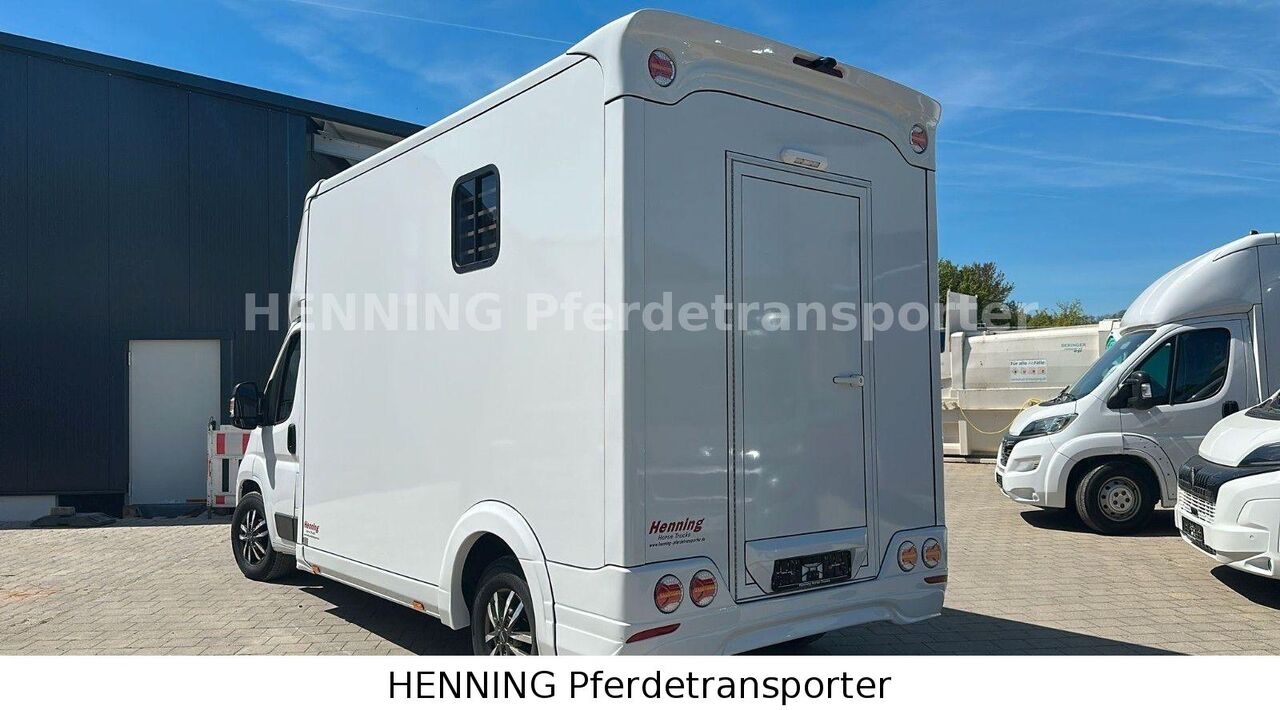 Opel Movano *3-Sitzer* - Truk pengangkut kuda: gambar 4 Opel Movano *3-Sitzer* - Truk pengangkut kuda: gambar 4
