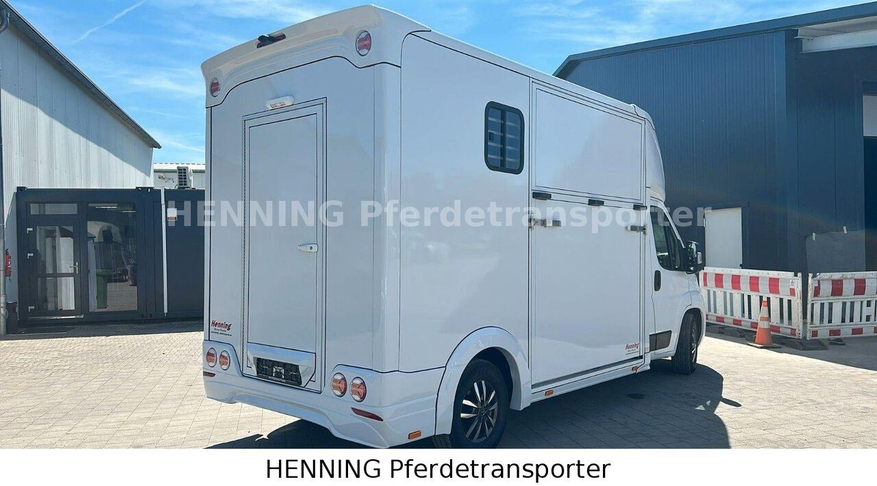 Opel Movano *3-Sitzer* - Truk pengangkut kuda: gambar 3 Opel Movano *3-Sitzer* - Truk pengangkut kuda: gambar 3