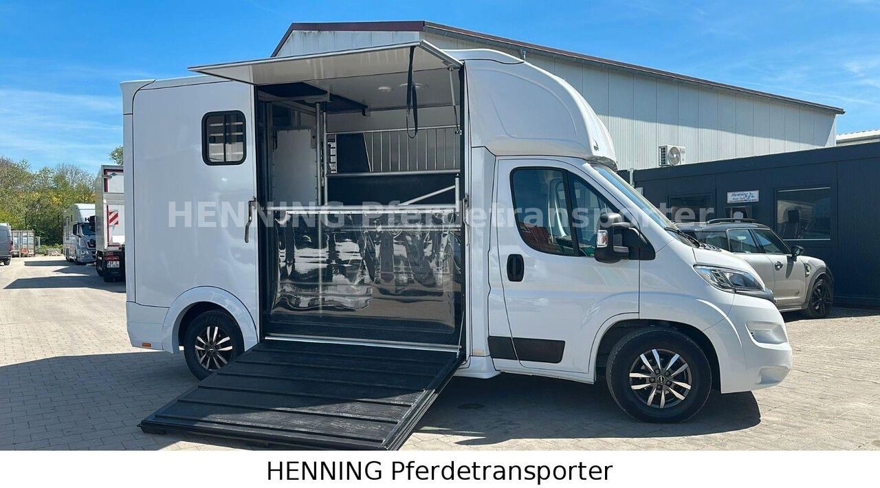 Opel Movano *3-Sitzer* - Truk pengangkut kuda: gambar 5 Opel Movano *3-Sitzer* - Truk pengangkut kuda: gambar 5