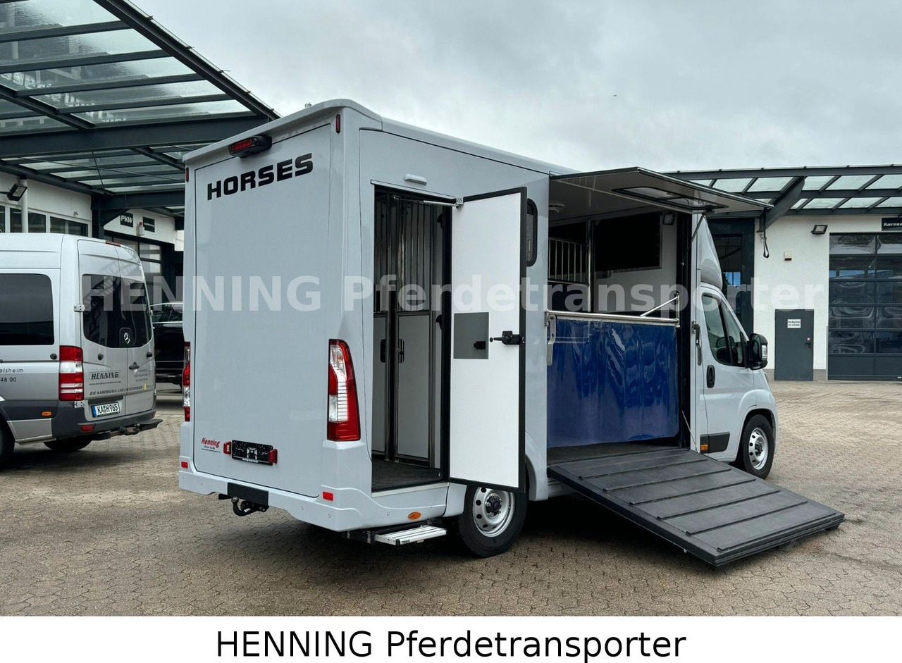 Peugeot Boxer 3 - Sitzer *GROSSE SATTELKAMMER* - Truk pengangkut hewan: gambar 4 Peugeot Boxer 3 - Sitzer *GROSSE SATTELKAMMER* - Truk pengangkut hewan: gambar 4