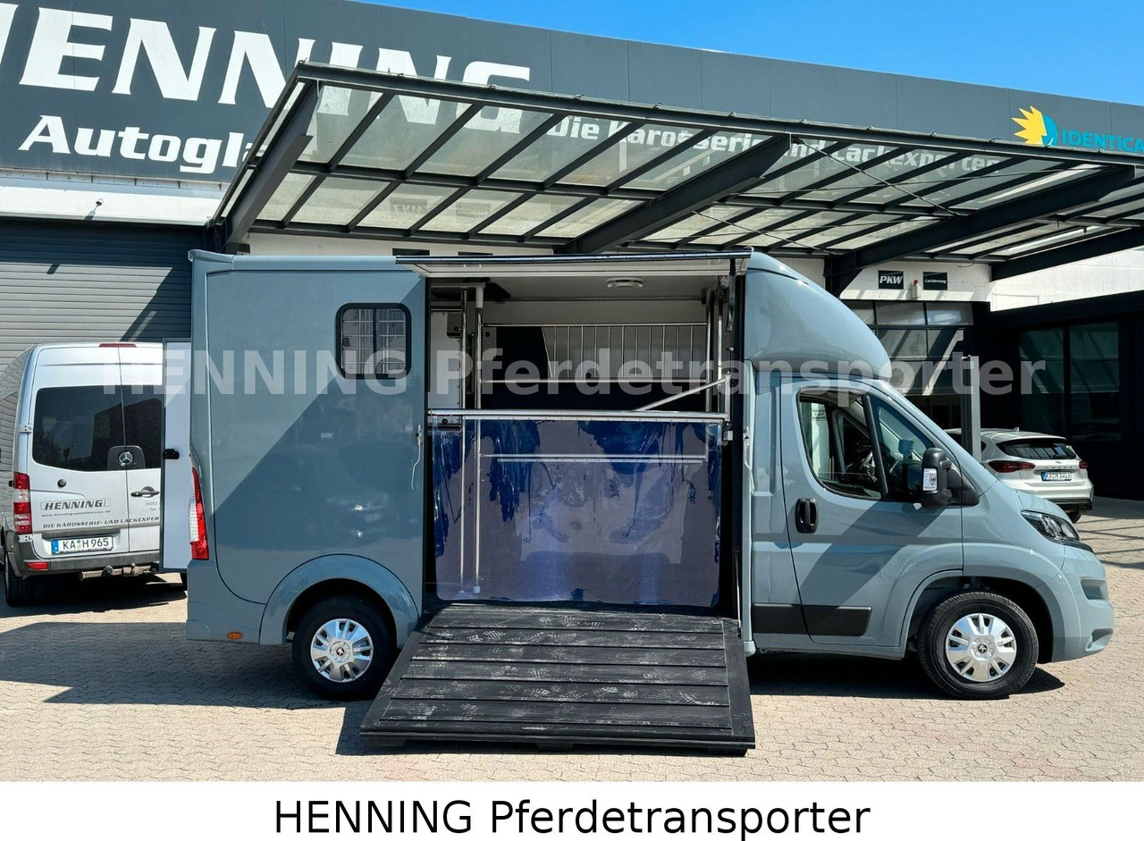 Peugeot Boxer 3-Sitzer *NEUWAGEN* 1000 KG NUTZLAST - Truk pengangkut kuda: gambar 4 Peugeot Boxer 3-Sitzer *NEUWAGEN* 1000 KG NUTZLAST - Truk pengangkut kuda: gambar 4
