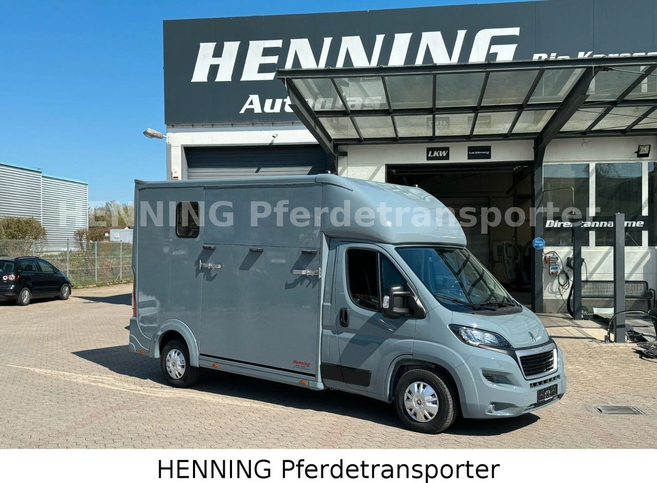Peugeot Boxer 3-Sitzer *NEUWAGEN* 1000 KG NUTZLAST - Truk pengangkut kuda: gambar 1 Peugeot Boxer 3-Sitzer *NEUWAGEN* 1000 KG NUTZLAST - Truk pengangkut kuda: gambar 1