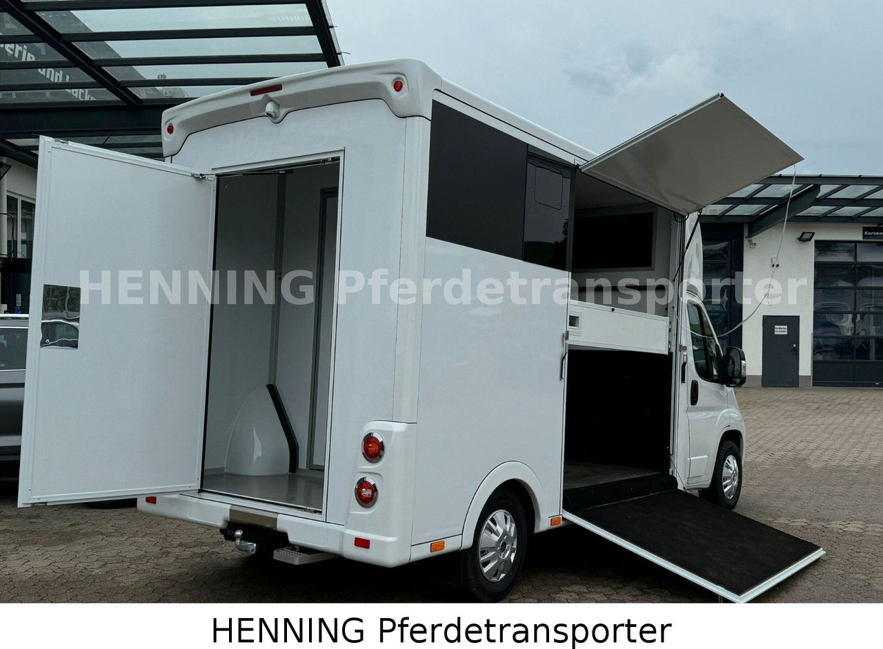 Peugeot Boxer *NEUWAGEN* ca. 1.200kg Nutzlast - Truk pengangkut hewan: gambar 4 Peugeot Boxer *NEUWAGEN* ca. 1.200kg Nutzlast - Truk pengangkut hewan: gambar 4