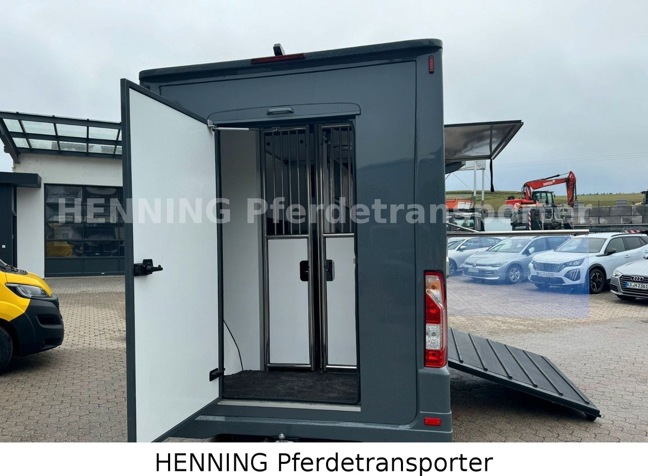 Renault Master 3 - Sitzer *NEUES MODELL* - Truk pengangkut hewan: gambar 4 Renault Master 3 - Sitzer *NEUES MODELL* - Truk pengangkut hewan: gambar 4