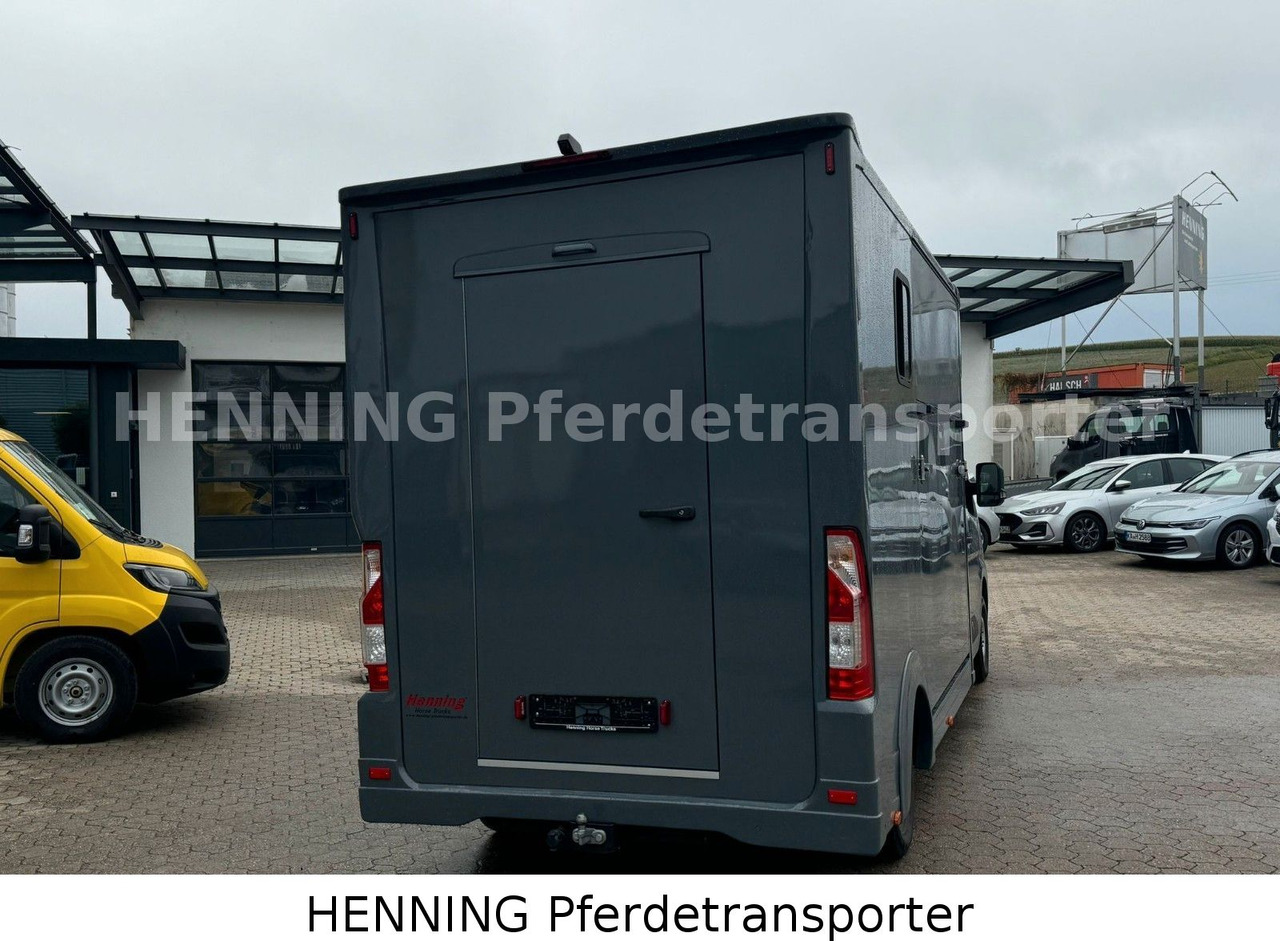 Renault Master 3 - Sitzer *NEUES MODELL* - Truk pengangkut hewan: gambar 3 Renault Master 3 - Sitzer *NEUES MODELL* - Truk pengangkut hewan: gambar 3