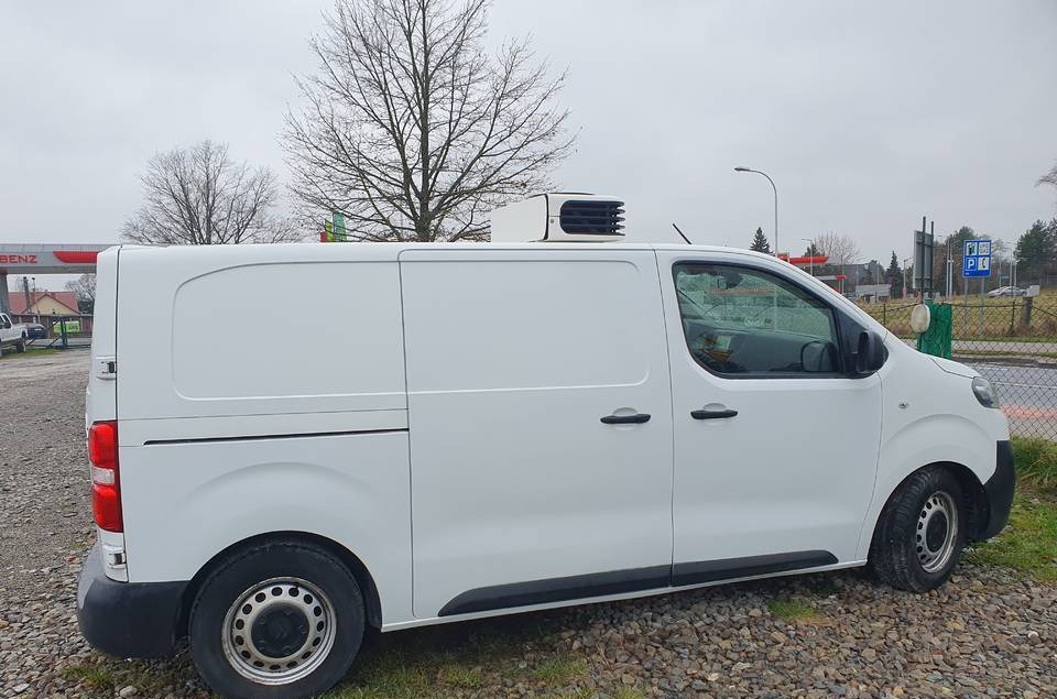 Citroen JUMPY CHLODNIA MROZNIA CARRIER+230V KLIMA EURO6 - Van berpendingin: gambar 5 Citroen JUMPY CHLODNIA MROZNIA CARRIER+230V KLIMA EURO6 - Van berpendingin: gambar 5