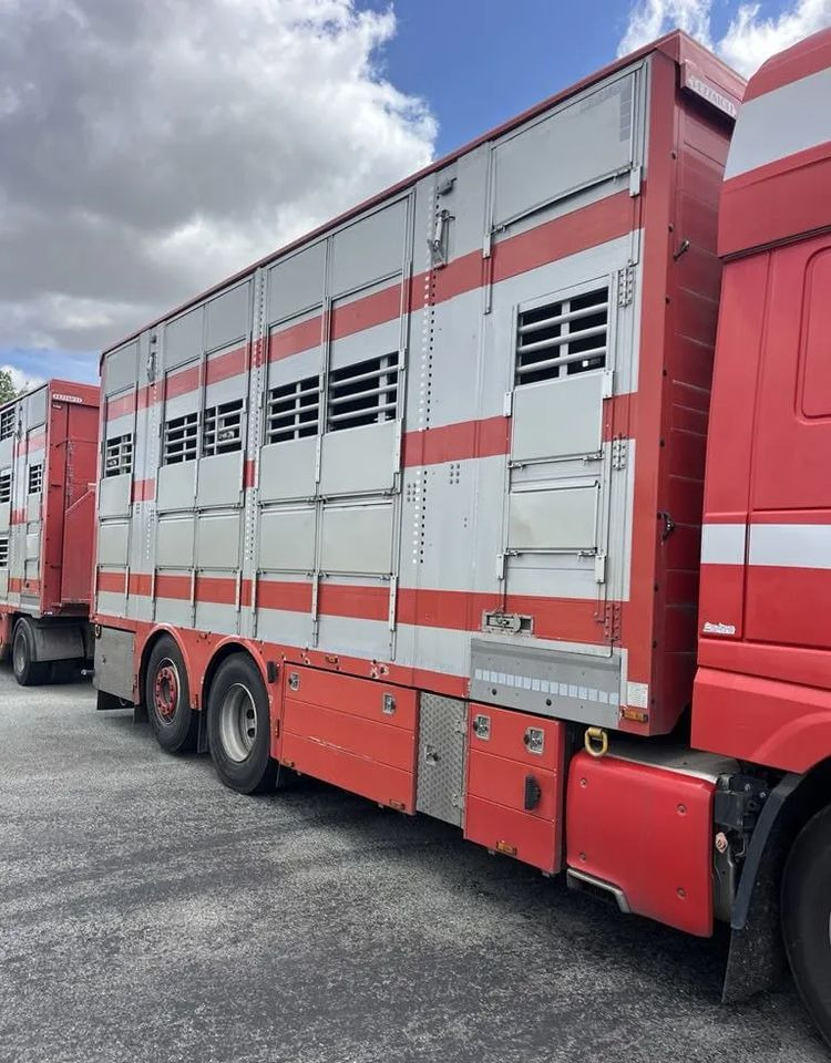 DAF XF 460 + Przyczepa Pezzaoli - 3X Trzoda, 2 X Bydło I 3 poziomy I Podnoszony dach I Hydroburta I Osie Skrętne I Poidła I Wentylatory I Pilot Manualny | Euro5 - Truk pengangkut hewan: gambar 5 DAF XF 460 + Przyczepa Pezzaoli - 3X Trzoda, 2 X Bydło I 3 poziomy I Podnoszony dach I Hydroburta I Osie Skrętne I Poidła I Wentylatory I Pilot Manualny | Euro5 - Truk pengangkut hewan: gambar 5