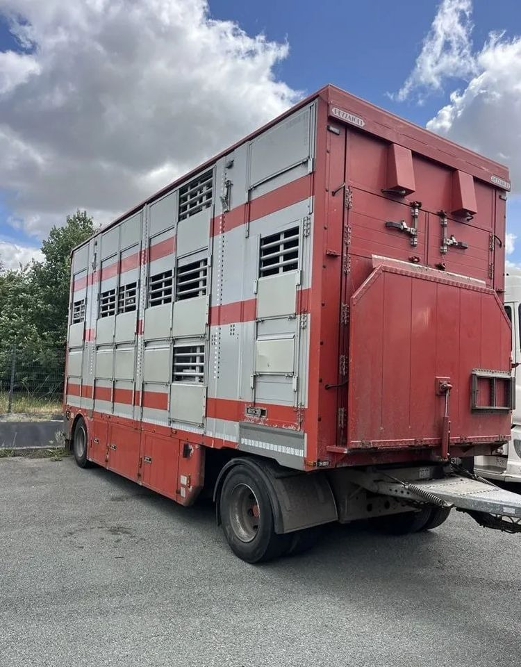 DAF XF 460 + Przyczepa Pezzaoli - 3X Trzoda, 2 X Bydło I 3 poziomy I Podnoszony dach I Hydroburta I Osie Skrętne I Poidła I Wentylatory I Pilot Manualny | Euro5 - Truk pengangkut hewan: gambar 3 DAF XF 460 + Przyczepa Pezzaoli - 3X Trzoda, 2 X Bydło I 3 poziomy I Podnoszony dach I Hydroburta I Osie Skrętne I Poidła I Wentylatory I Pilot Manualny | Euro5 - Truk pengangkut hewan: gambar 3
