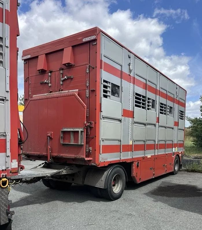 DAF XF 460 + Przyczepa Pezzaoli - 3X Trzoda, 2 X Bydło I 3 poziomy I Podnoszony dach I Hydroburta I Osie Skrętne I Poidła I Wentylatory I Pilot Manualny | Euro5 - Truk pengangkut hewan: gambar 4 DAF XF 460 + Przyczepa Pezzaoli - 3X Trzoda, 2 X Bydło I 3 poziomy I Podnoszony dach I Hydroburta I Osie Skrętne I Poidła I Wentylatory I Pilot Manualny | Euro5 - Truk pengangkut hewan: gambar 4