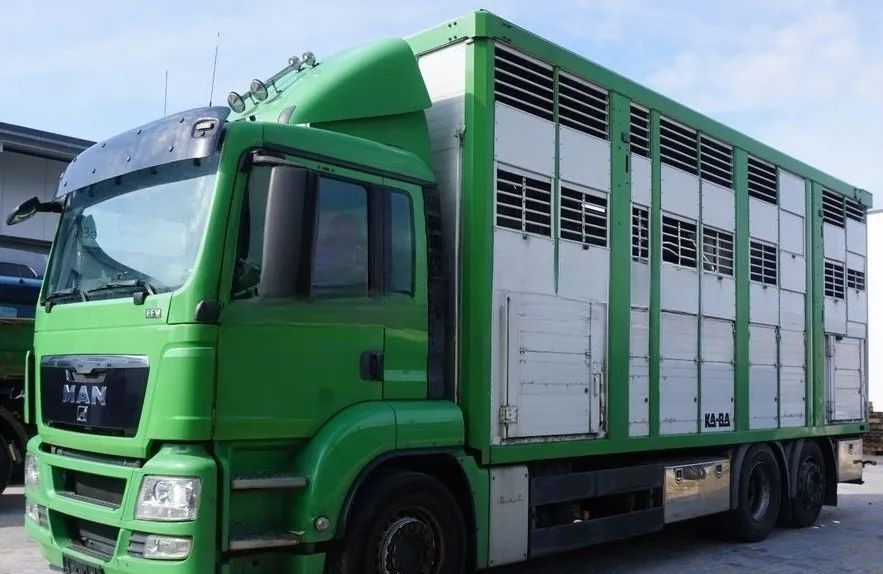 MAN TGS 26.440 ZABUDOWA KABA CAŁA ALUMINIOWA– samochód do transportu zwierząt/koni – 3 pokłady / EURO 5/6X2/PODNOSZONY DACH - Truk pengangkut hewan: gambar 1 MAN TGS 26.440 ZABUDOWA KABA CAŁA ALUMINIOWA– samochód do transportu zwierząt/koni – 3 pokłady / EURO 5/6X2/PODNOSZONY DACH - Truk pengangkut hewan: gambar 1