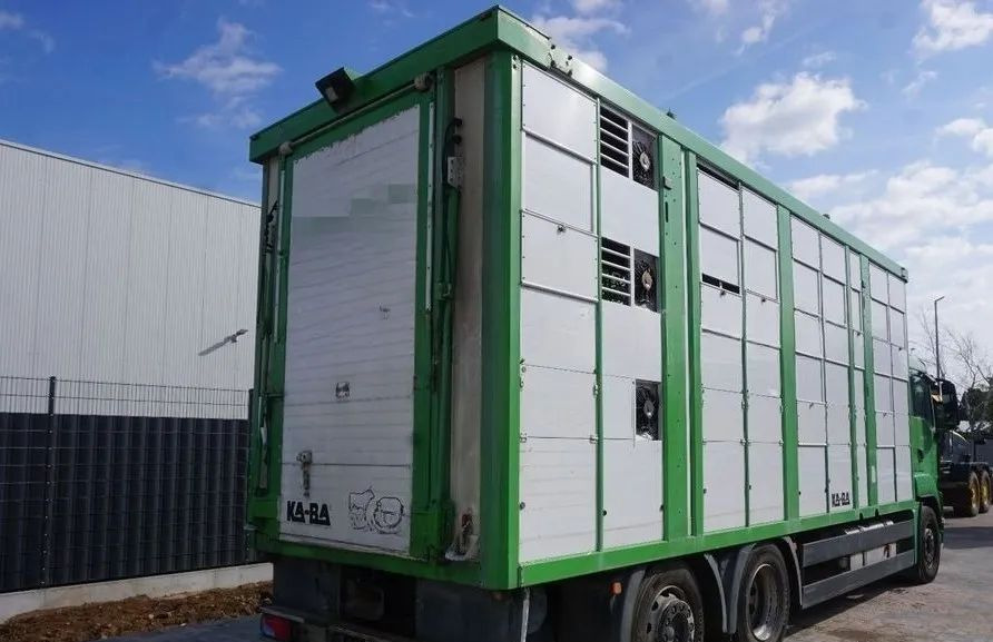 MAN TGS 26.440 ZABUDOWA KABA CAŁA ALUMINIOWA– samochód do transportu zwierząt/koni – 3 pokłady / EURO 5/6X2/PODNOSZONY DACH - Truk pengangkut hewan: gambar 2 MAN TGS 26.440 ZABUDOWA KABA CAŁA ALUMINIOWA– samochód do transportu zwierząt/koni – 3 pokłady / EURO 5/6X2/PODNOSZONY DACH - Truk pengangkut hewan: gambar 2