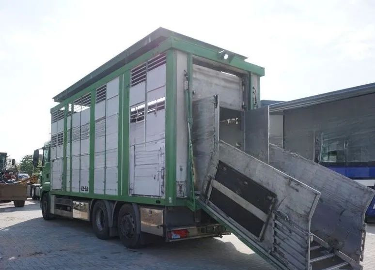 MAN TGS 26.440 ZABUDOWA KABA CAŁA ALUMINIOWA– samochód do transportu zwierząt/koni – 3 pokłady / EURO 5/6X2/PODNOSZONY DACH - Truk pengangkut hewan: gambar 4 MAN TGS 26.440 ZABUDOWA KABA CAŁA ALUMINIOWA– samochód do transportu zwierząt/koni – 3 pokłady / EURO 5/6X2/PODNOSZONY DACH - Truk pengangkut hewan: gambar 4