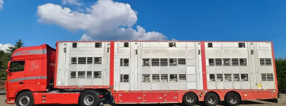Pezzaioli 2017 / 3 POZIOMY / TRANSPORT ZWIERZĄT / HYDRAULIKA / STEROWANIE PILOTEM/ PODNOSZONY DACH / - Semi-trailer pengangkut hewan: gambar 2 Pezzaioli 2017 / 3 POZIOMY / TRANSPORT ZWIERZĄT / HYDRAULIKA / STEROWANIE PILOTEM/ PODNOSZONY DACH / - Semi-trailer pengangkut hewan: gambar 2