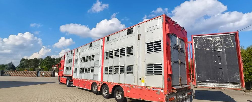 Pezzaioli 2017 / 3 POZIOMY / TRANSPORT ZWIERZĄT / HYDRAULIKA / STEROWANIE PILOTEM/ PODNOSZONY DACH / - Semi-trailer pengangkut hewan: gambar 1 Pezzaioli 2017 / 3 POZIOMY / TRANSPORT ZWIERZĄT / HYDRAULIKA / STEROWANIE PILOTEM/ PODNOSZONY DACH / - Semi-trailer pengangkut hewan: gambar 1