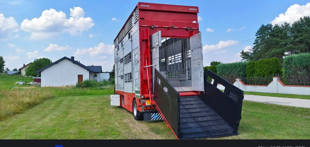 Pezzaioli RBA22 Dwuosiowa Przyczepa – 2x Bydło, 3x Trzoda – 2017r – Bezwypadkowa! - Trailer pengangkut hewan: gambar 1 Pezzaioli RBA22 Dwuosiowa Przyczepa – 2x Bydło, 3x Trzoda – 2017r – Bezwypadkowa! - Trailer pengangkut hewan: gambar 1