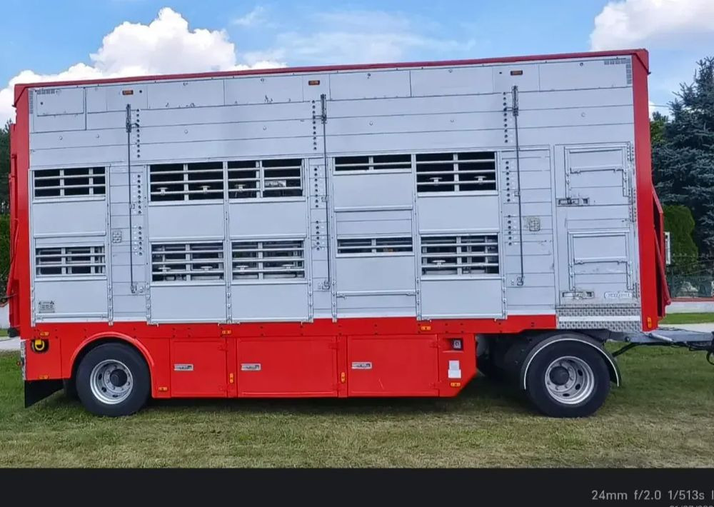 Pezzaioli RBA22 Dwuosiowa Przyczepa – 2x Bydło, 3x Trzoda – 2017r – Bezwypadkowa! - Trailer pengangkut hewan: gambar 3 Pezzaioli RBA22 Dwuosiowa Przyczepa – 2x Bydło, 3x Trzoda – 2017r – Bezwypadkowa! - Trailer pengangkut hewan: gambar 3