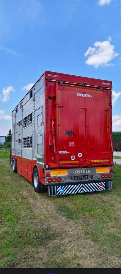 Pezzaioli RBA22 Dwuosiowa Przyczepa – 2x Bydło, 3x Trzoda – 2017r – Bezwypadkowa! - Trailer pengangkut hewan: gambar 5 Pezzaioli RBA22 Dwuosiowa Przyczepa – 2x Bydło, 3x Trzoda – 2017r – Bezwypadkowa! - Trailer pengangkut hewan: gambar 5