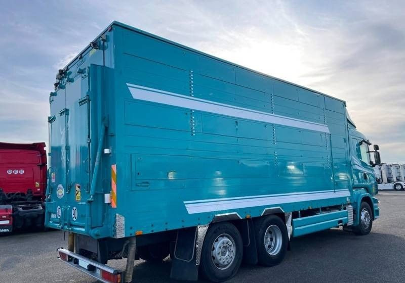 Scania R380 / 6x2 / Pezzaioli / 2-poziomowa zabudowa do przewozu zwierząt / Euro 3 / oś podnoszona / podnoszony dach - Truk pengangkut hewan: gambar 2 Scania R380 / 6x2 / Pezzaioli / 2-poziomowa zabudowa do przewozu zwierząt / Euro 3 / oś podnoszona / podnoszony dach - Truk pengangkut hewan: gambar 2