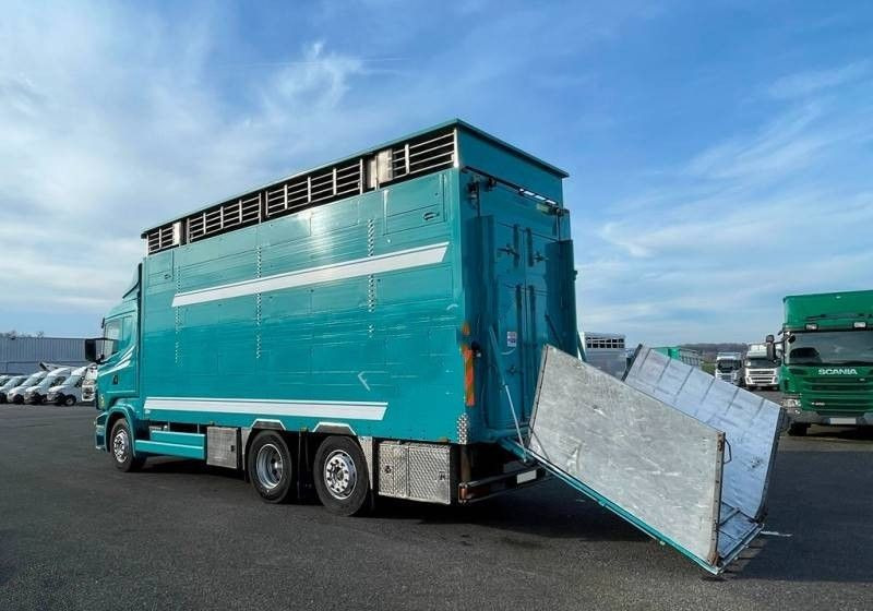 Scania R380 / 6x2 / Pezzaioli / 2-poziomowa zabudowa do przewozu zwierząt / Euro 3 / oś podnoszona / podnoszony dach - Truk pengangkut hewan: gambar 3 Scania R380 / 6x2 / Pezzaioli / 2-poziomowa zabudowa do przewozu zwierząt / Euro 3 / oś podnoszona / podnoszony dach - Truk pengangkut hewan: gambar 3