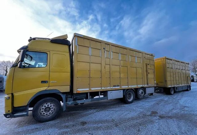 Volvo FH 420 • KABA • Transport Zwierząt 3xŚwinie/ 2xBydło 3-piętrowy • Euro 5 • Retarder • Oś podnoszona i skrętna - Truk pengangkut hewan: gambar 1 Volvo FH 420 • KABA • Transport Zwierząt 3xŚwinie/ 2xBydło 3-piętrowy • Euro 5 • Retarder • Oś podnoszona i skrętna - Truk pengangkut hewan: gambar 1